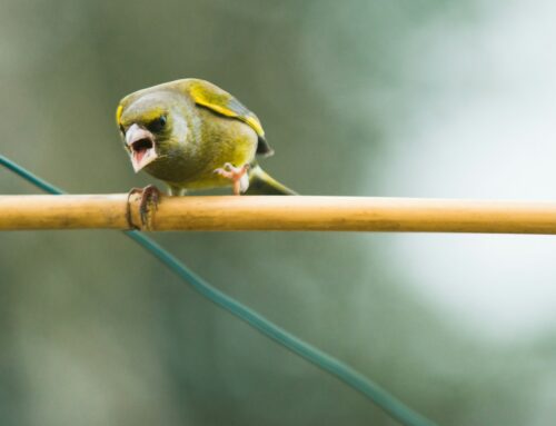 How to Control Angry Outbursts and Express Anger Appropriately