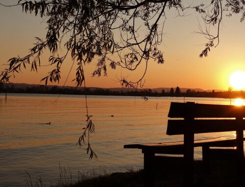 Can a Grief Counselor in Carlsbad, California Really Help?